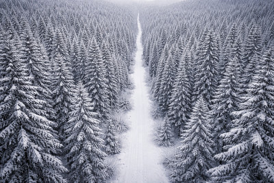 Lotek Atmospheric-landscape Snow Forest Trail Remote Winter 01