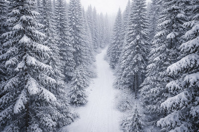 Lotek Atmospheric-landscape Snow Forest Trail Remote Winter 02